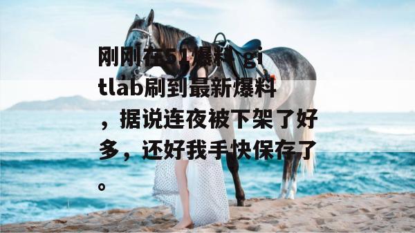 刚刚在51爆料 gitlab刷到最新爆料，据说连夜被下架了好多，还好我手快保存了。